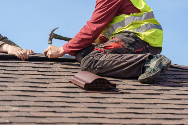 Best Roof Repair Specialists  in Homer, IL