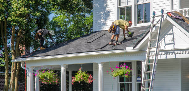 Best Gutter Installation and Roofing  in Homer, IL